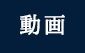 予告編